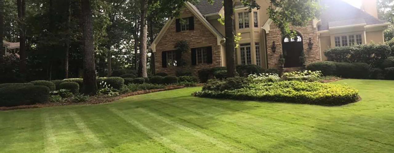 lawn maintenance